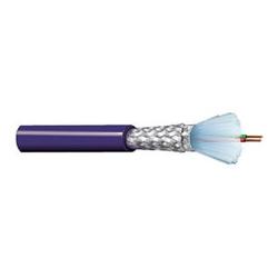 Cable Belden Multiconductor 3079E ISA/SP-50 22AWG FRFPE PVC x Metro